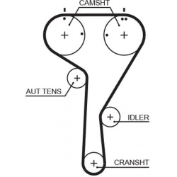 TIMING BELT WITH WATER PUMP