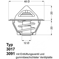  termostatas, aušinimo skystis