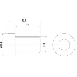 Varžtai stabdžių disko M8X1,25/15,6mm