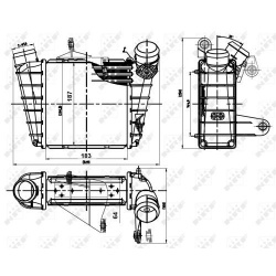 Radiatorius