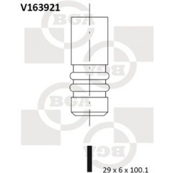 Vožtuvas 29x6x100,1