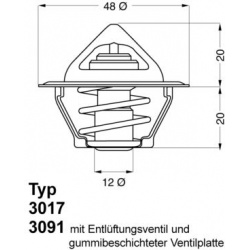  termostatas, aušinimo skystis