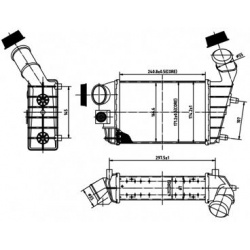 Radiatorius